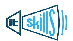 IT-Skills